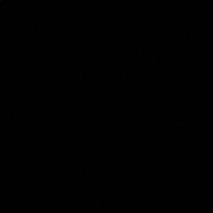 Meet your Posher, Dee